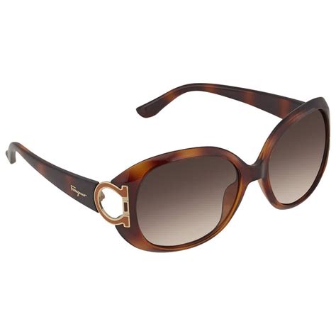 ferragamo oval sunglasses